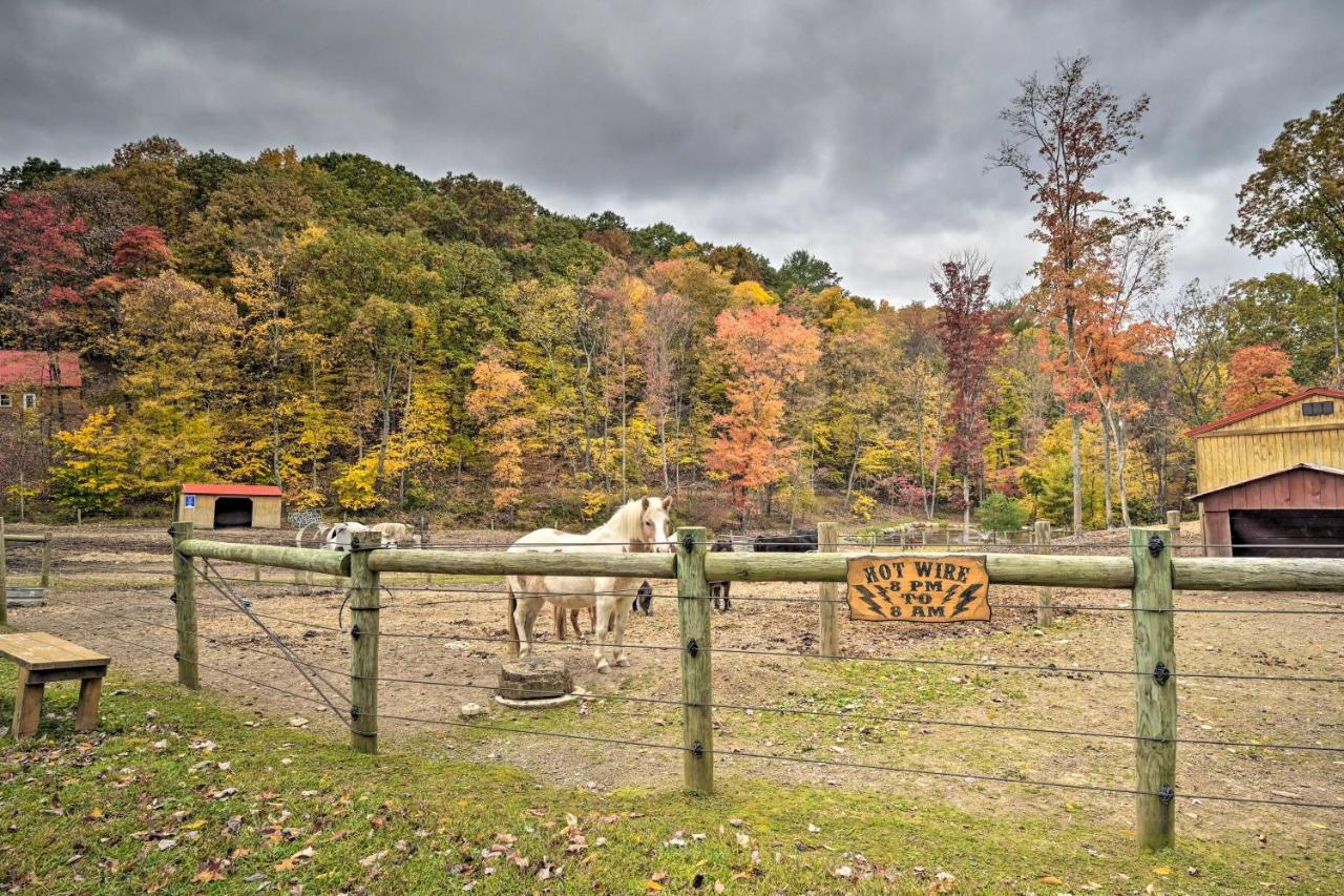 Rustic Clint Eastwood Ranch Apt By Raystown Lake Хантингдон Экстерьер фото