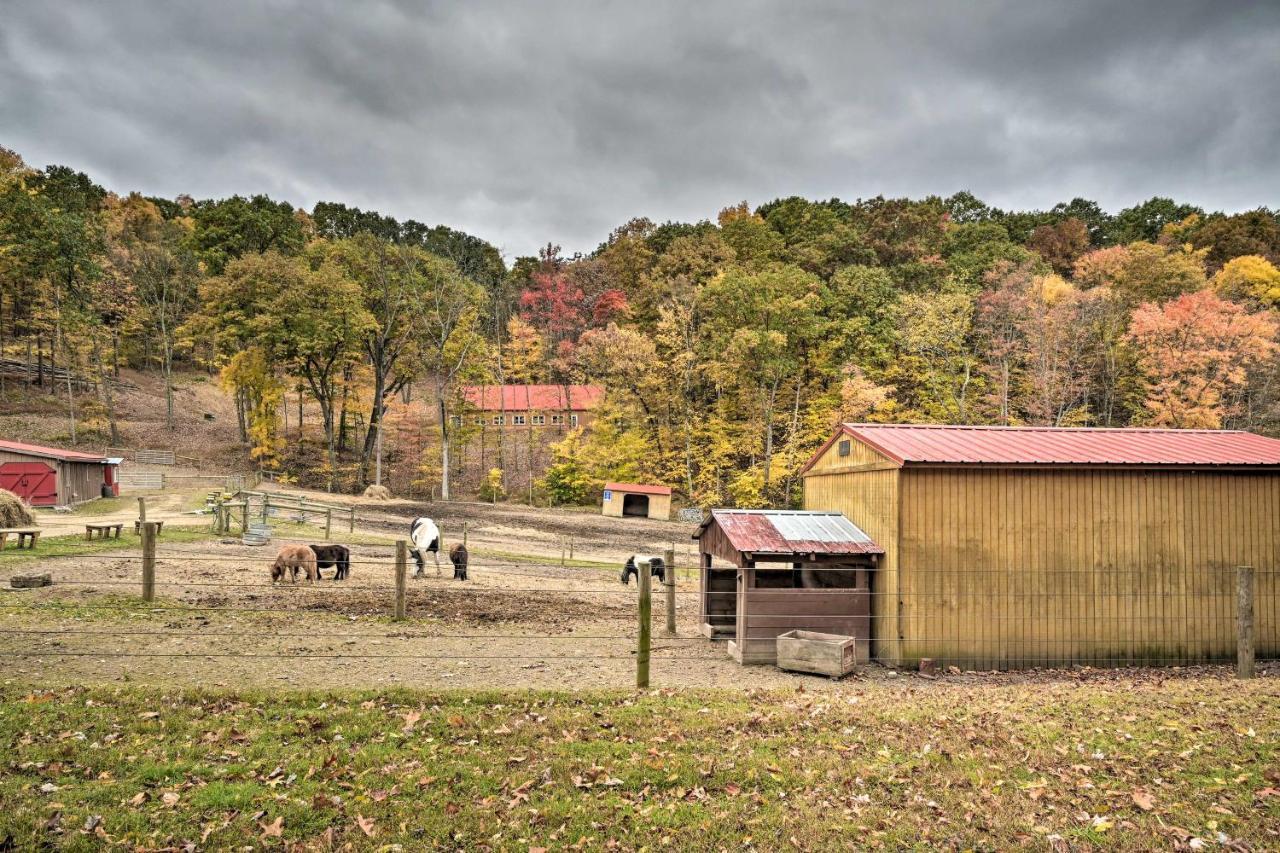 Rustic Clint Eastwood Ranch Apt By Raystown Lake Хантингдон Экстерьер фото