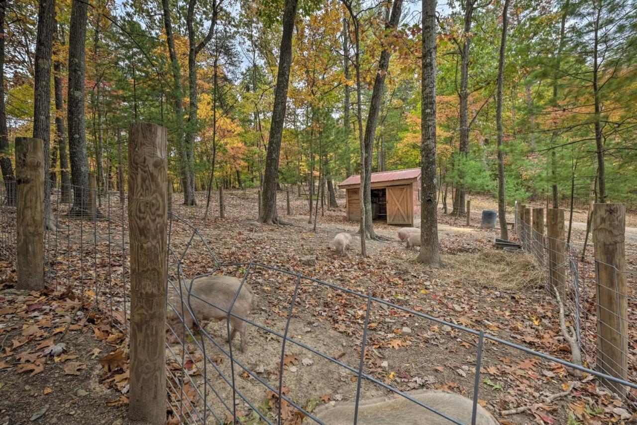 Rustic Clint Eastwood Ranch Apt By Raystown Lake Хантингдон Экстерьер фото
